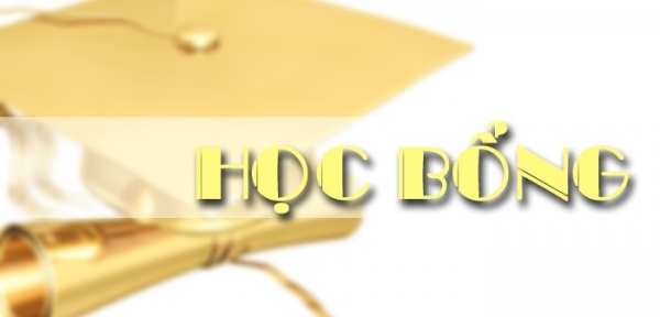 Bí Quyết Săn Học Bổng Du Học Mỹ